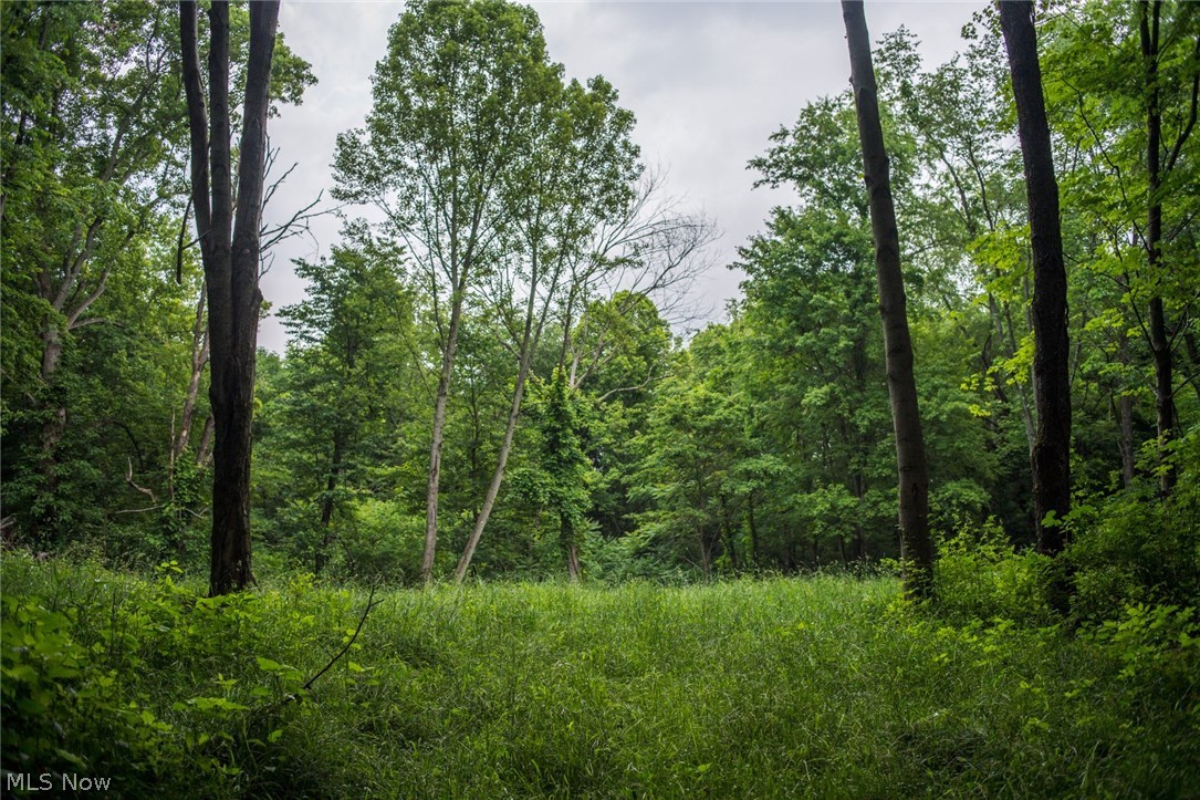 78600 Green Road Tippecanoe, OH 44699 - Photo 11 of 26 Gallery Image 11