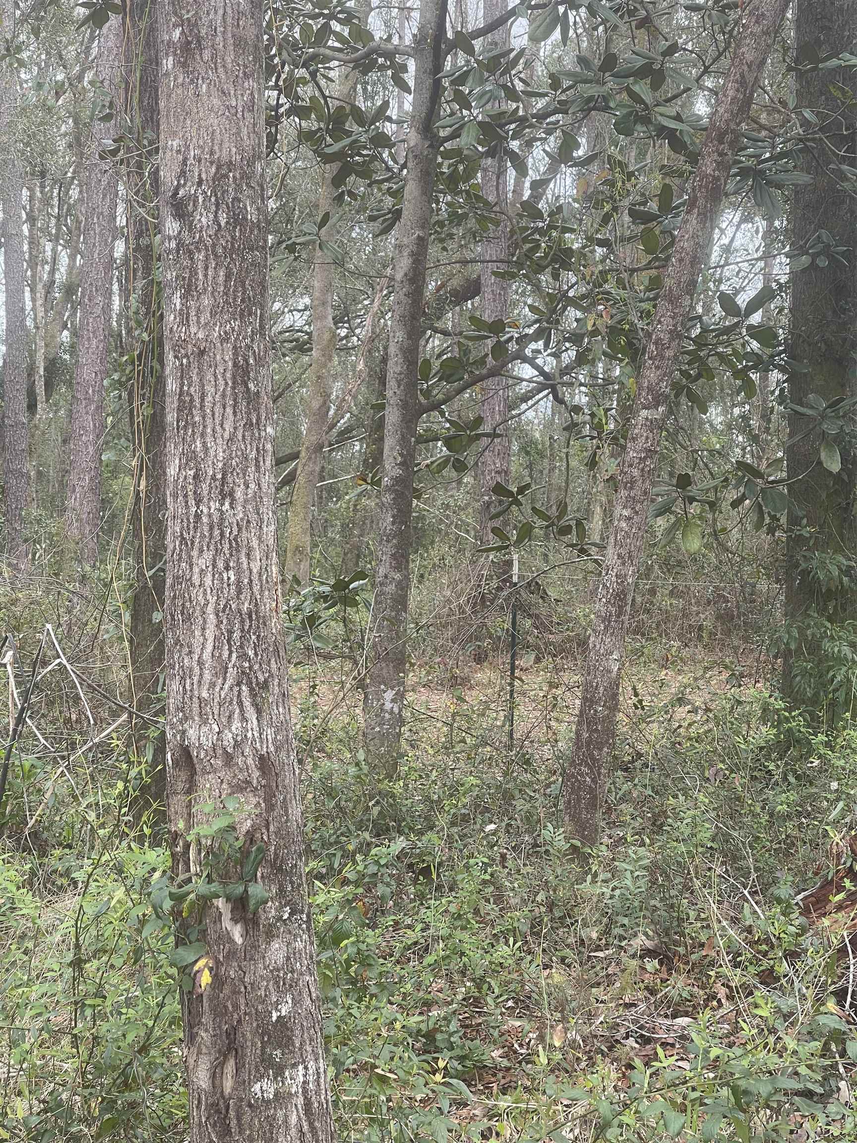 19055 Day Road Fairhope, AL 36532 - Photo 1 of 1