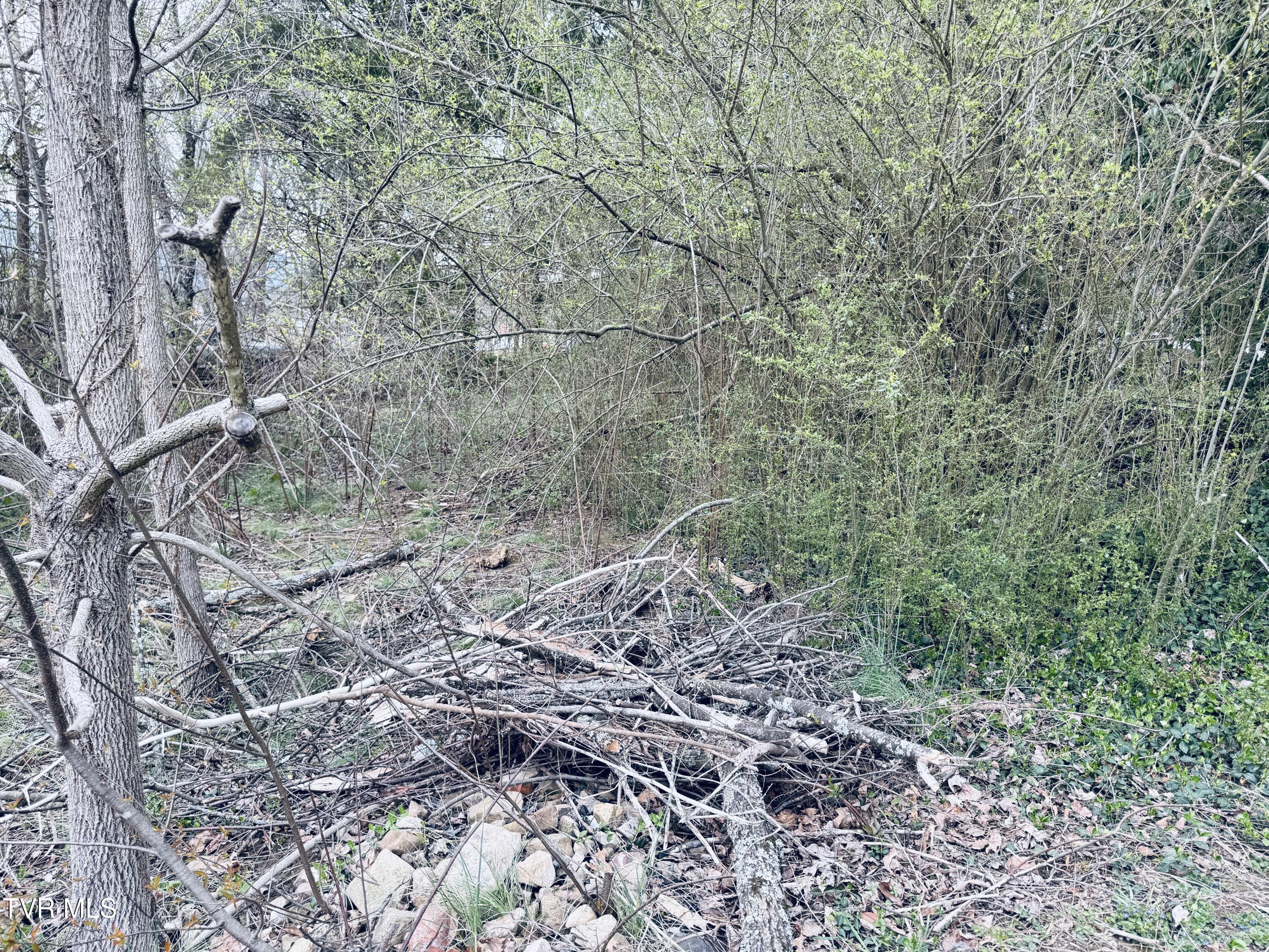 128 Parsley Street, Unit 11 Erwin, TN 37650 - Photo 5 of 7 IMG_6839