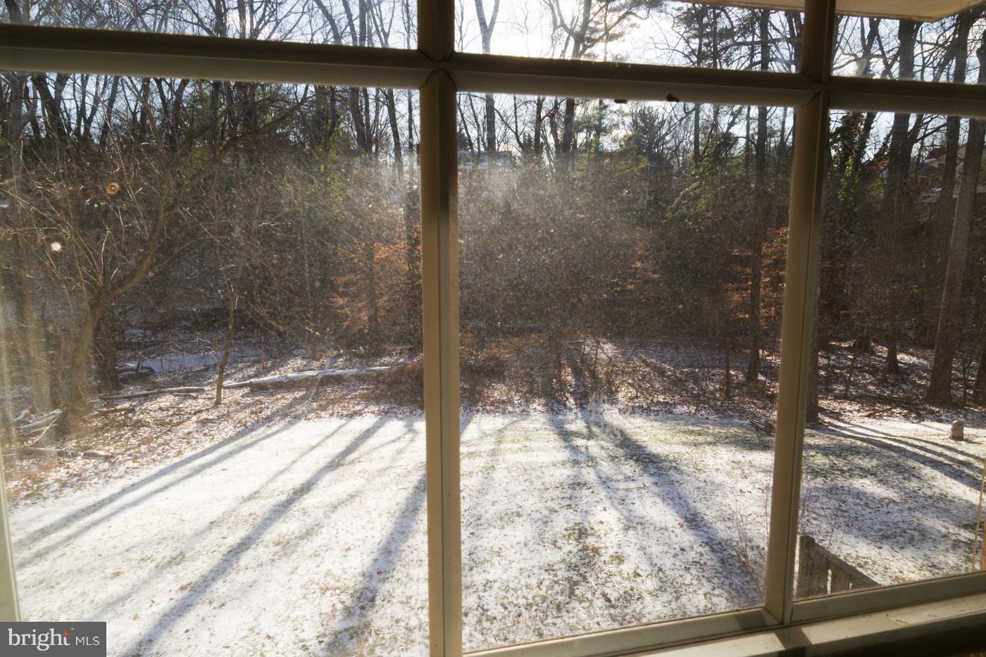 3712 Ferrara Drive, Unit 1 Silver Spring, MD 20906 - Photo 22 of 25 Looking out to backyard