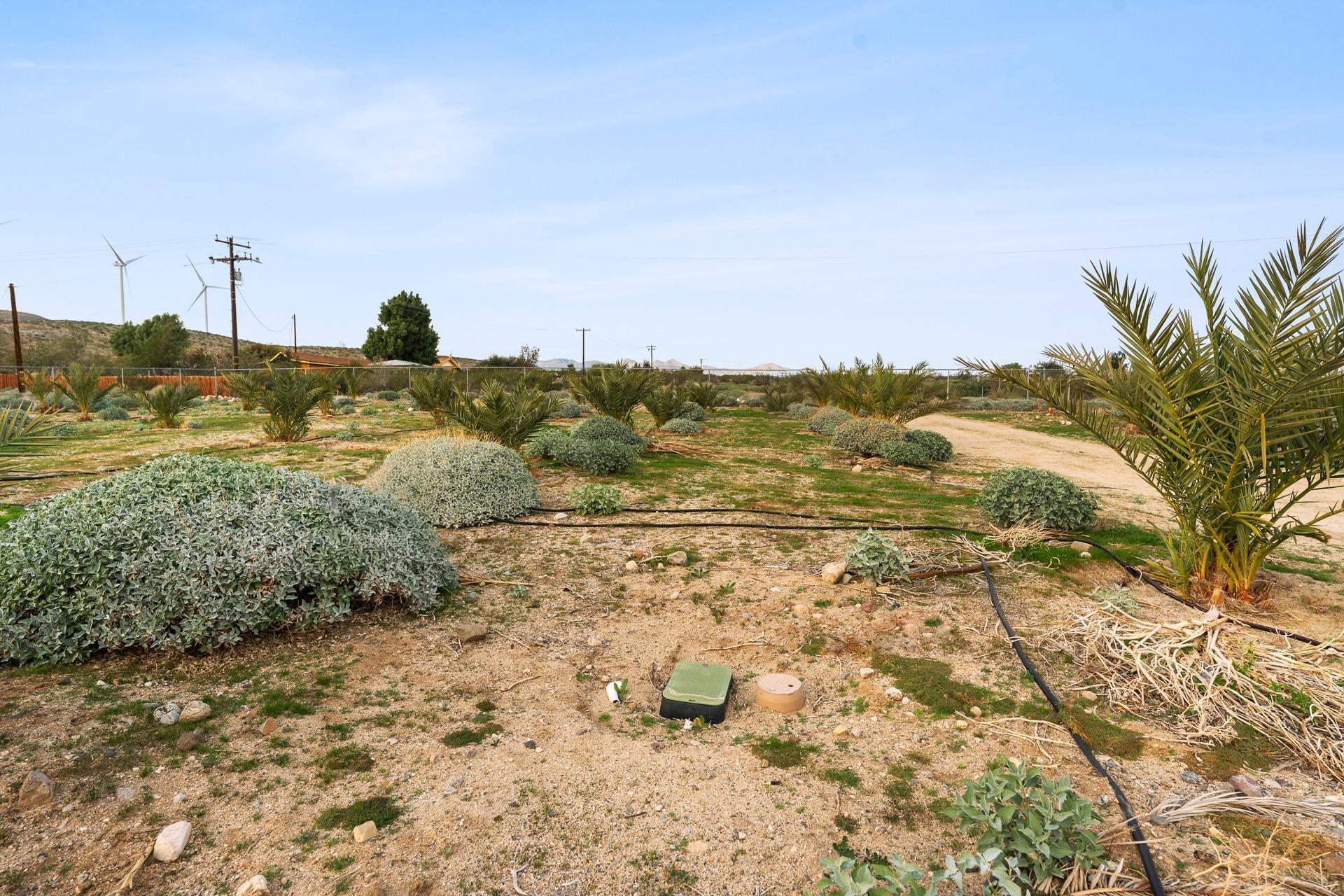 668040015 Hilltop Road Whitewater, CA 92282 - Photo 11 of 31 whitewater-12