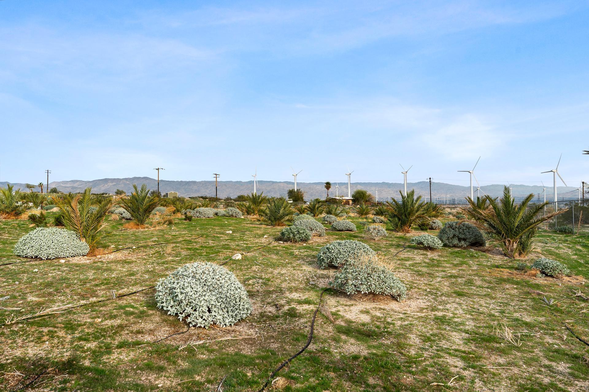 668040015 Hilltop Road Whitewater, CA 92282 - Photo 13 of 31 whitewater-16