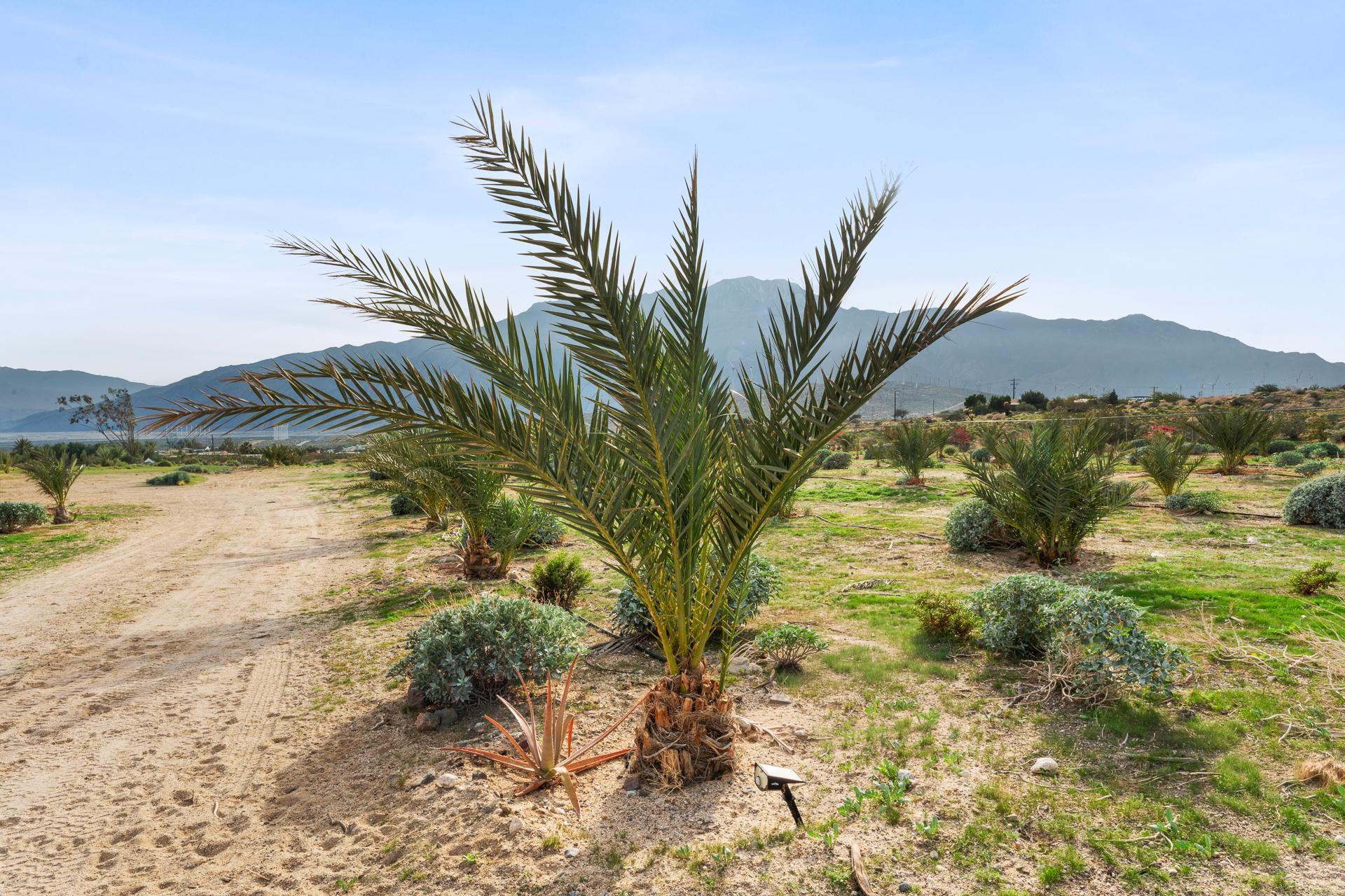 668040015 Hilltop Road Whitewater, CA 92282 - Photo 17 of 31 whitewater-3