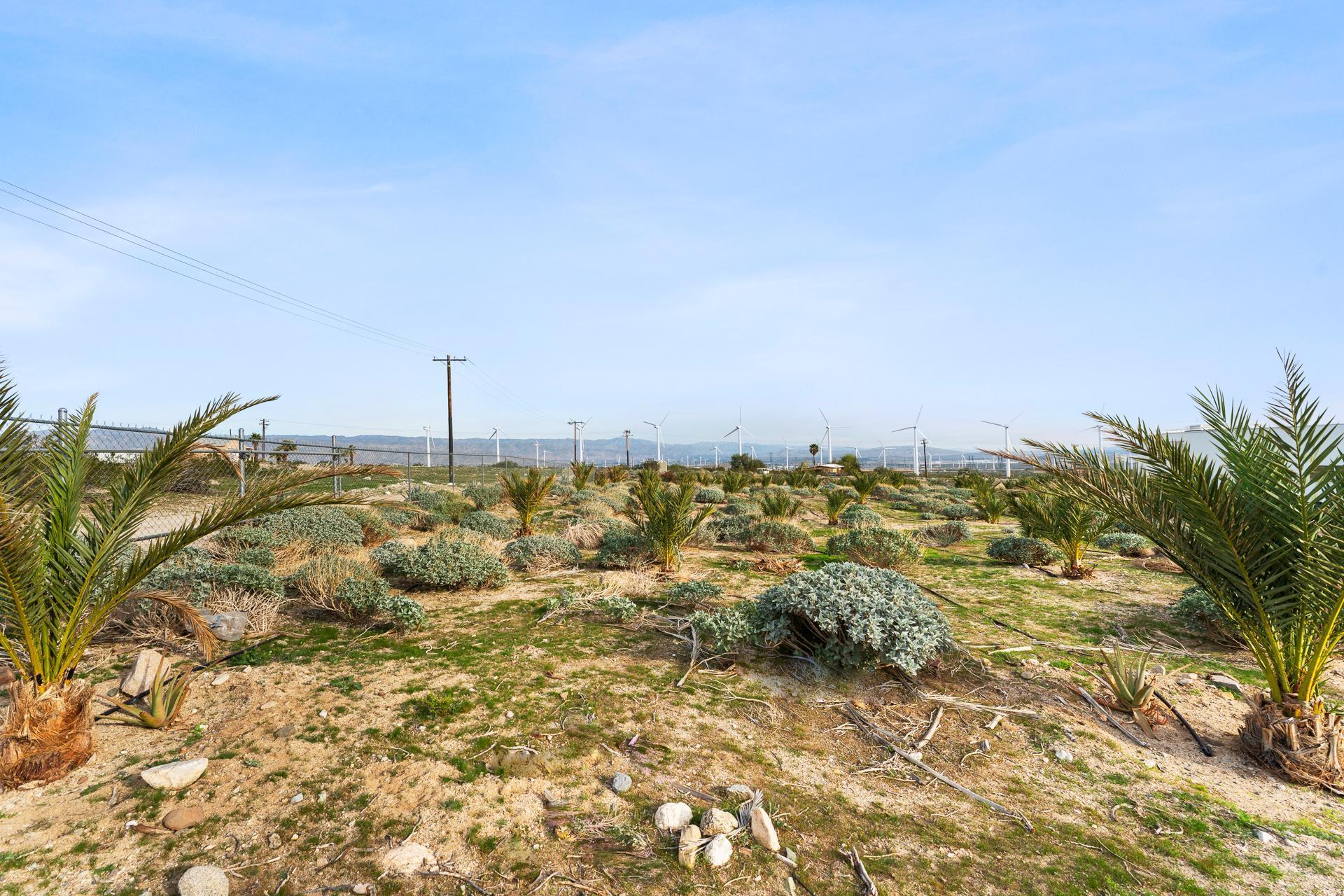 668040015 Hilltop Road Whitewater, CA 92282 - Photo 20 of 31 whitewater-5