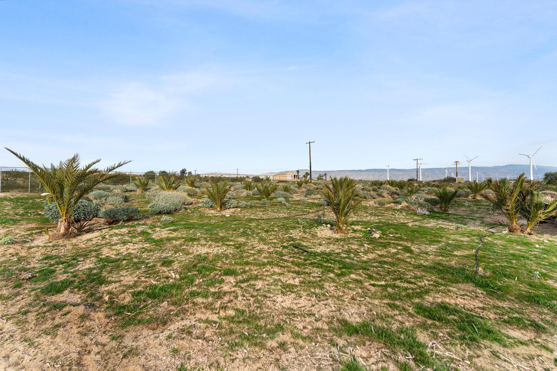 668040015 Hilltop Road Whitewater, CA 92282 - Photo 21 of 31 whitewater-7