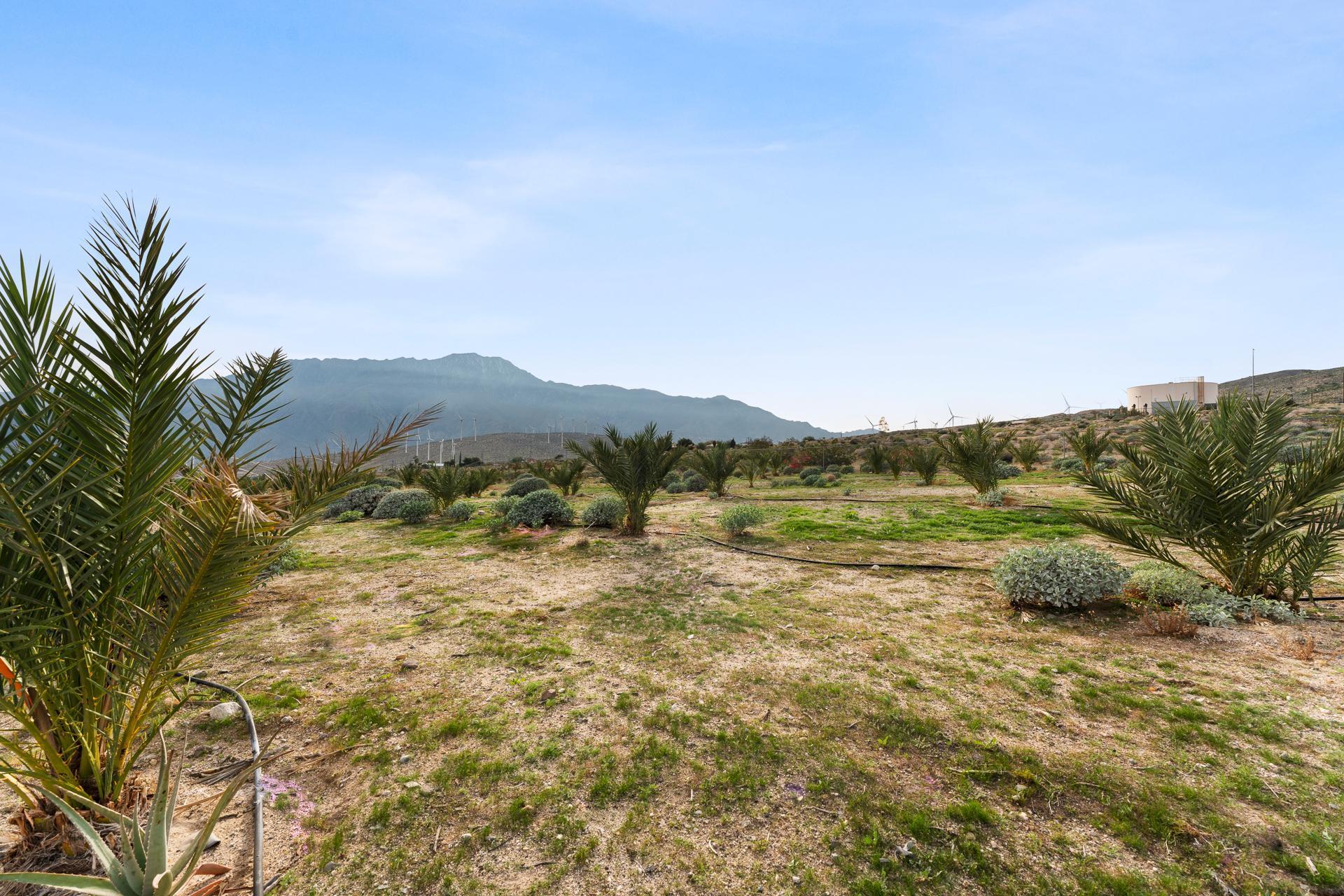 668040015 Hilltop Road Whitewater, CA 92282 - Photo 22 of 31 whitewater-6