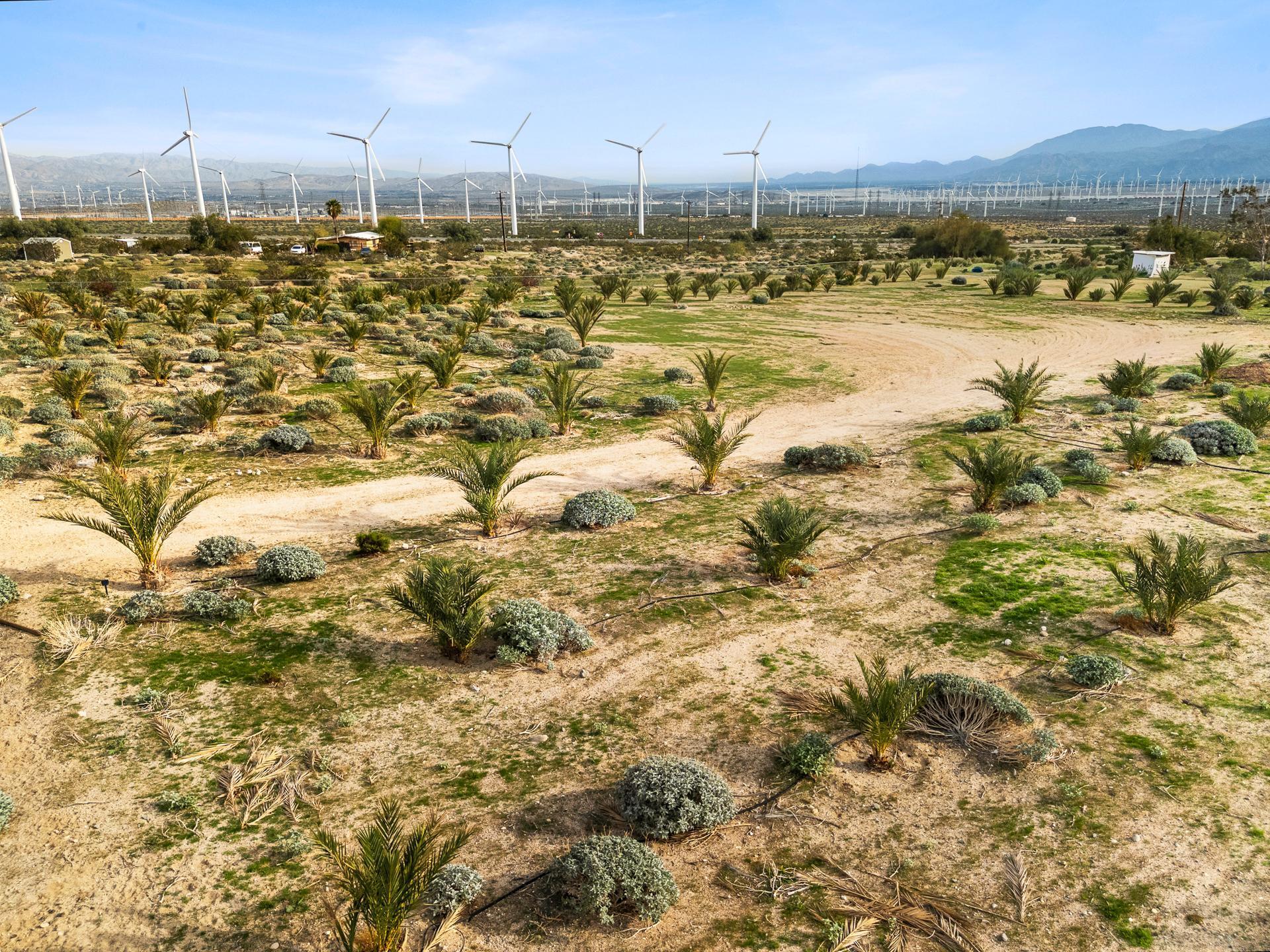 668040015 Hilltop Road Whitewater, CA 92282 - Photo 23 of 31 whitewater-28