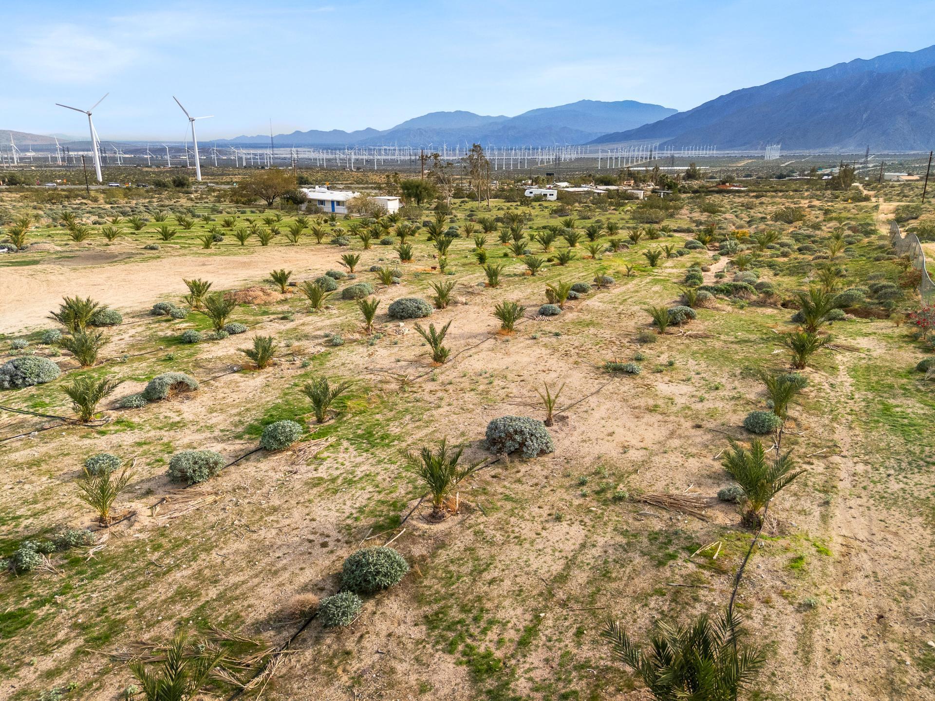 668040015 Hilltop Road Whitewater, CA 92282 - Photo 28 of 31 whitewater-29