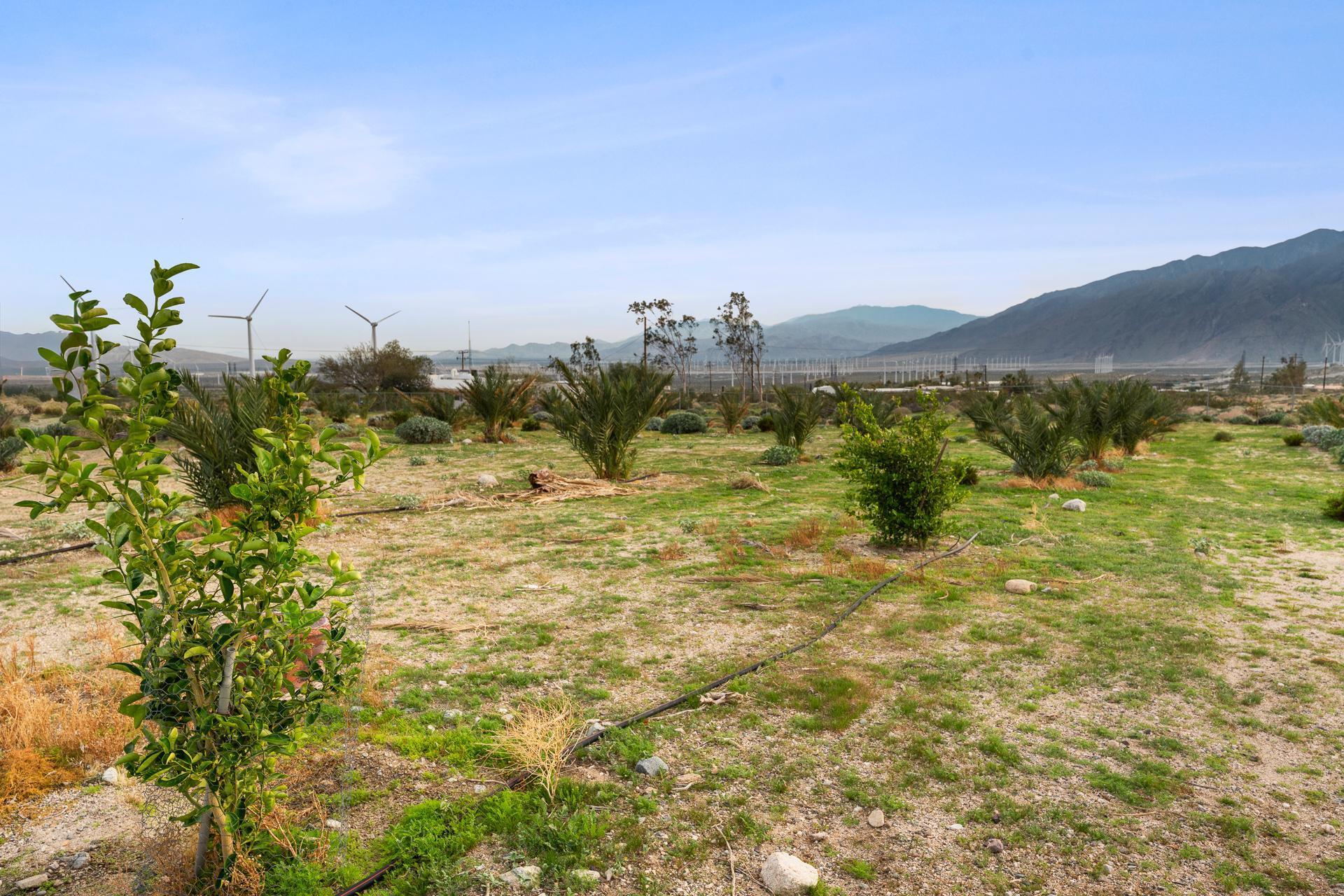 668040015 Hilltop Road Whitewater, CA 92282 - Photo 6 of 31 whitewater-13