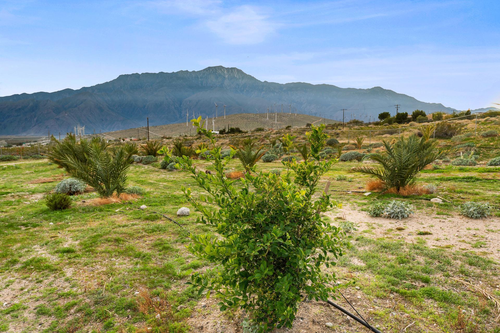 668040015 Hilltop Road Whitewater, CA 92282 - Photo 9 of 31 whitewater-14