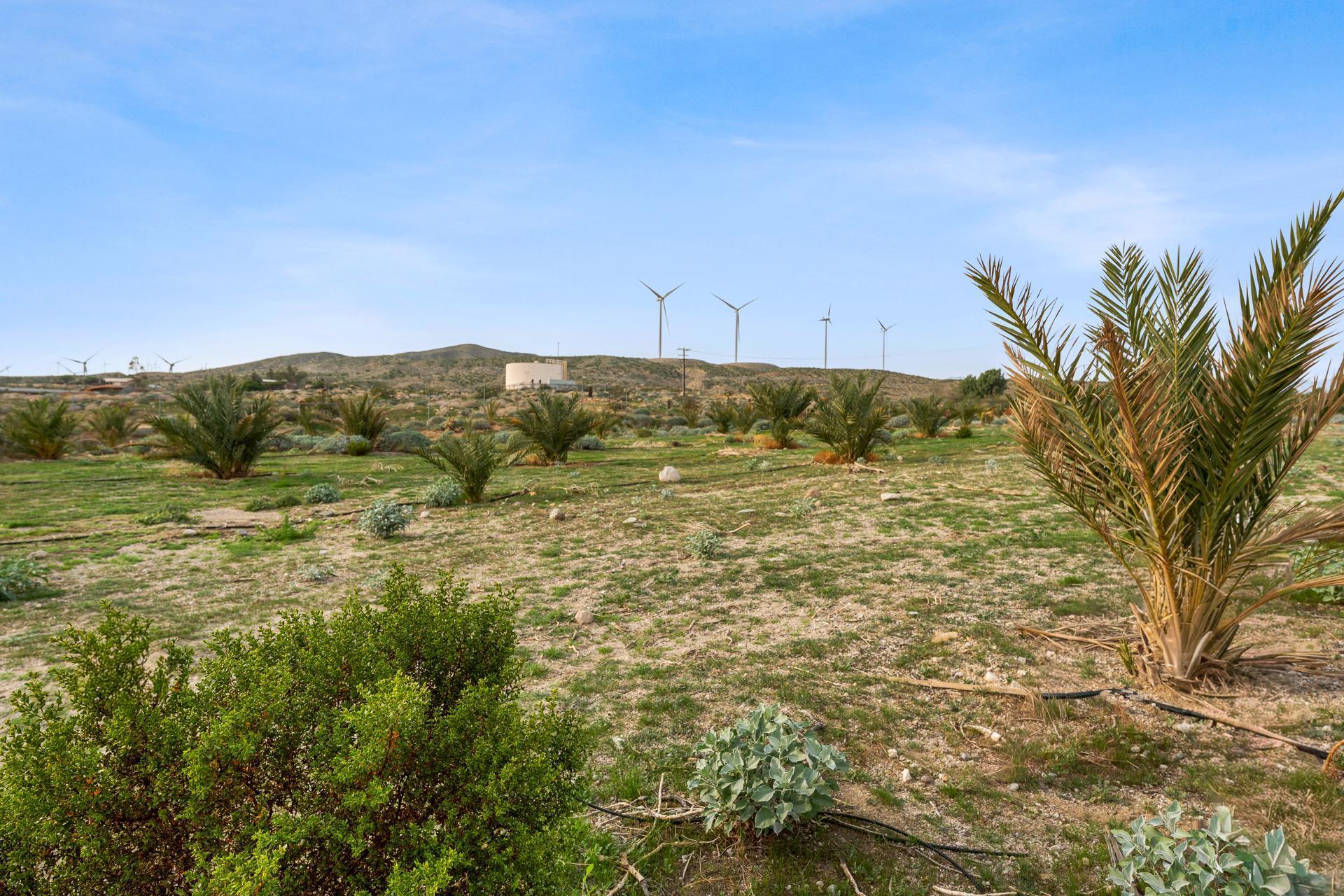 668040015 Hilltop Road Whitewater, CA 92282 - Photo 10 of 31 whitewater-17