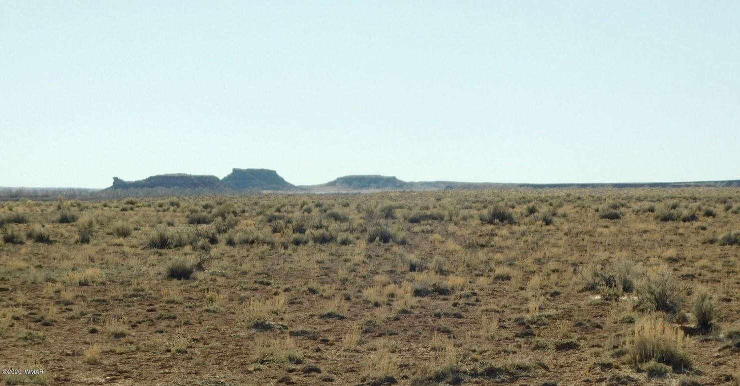 0 Prairie Dog Road Holbrook, AZ 86025 - Photo 4 of 17 Gallery Image 4