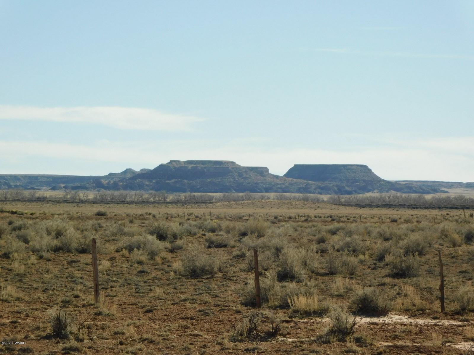 0 Prairie Dog Road Holbrook, AZ 86025 - Photo 8 of 17 Gallery Image 8
