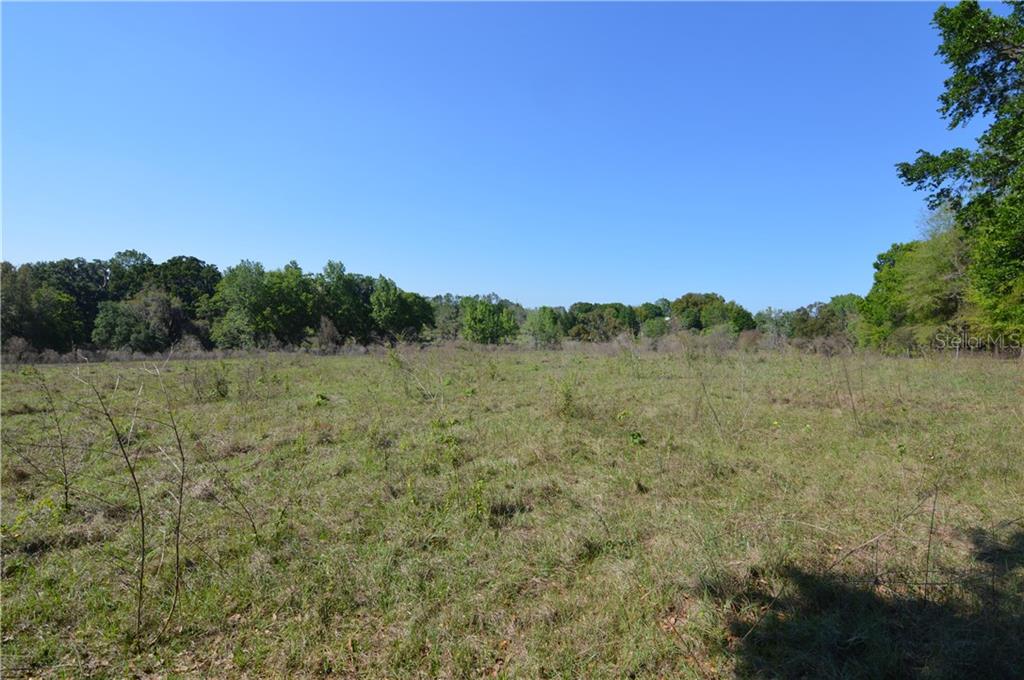 Mccabe Road San Antonio, FL 33576 - Photo 1 of 1 Gallery Image 1