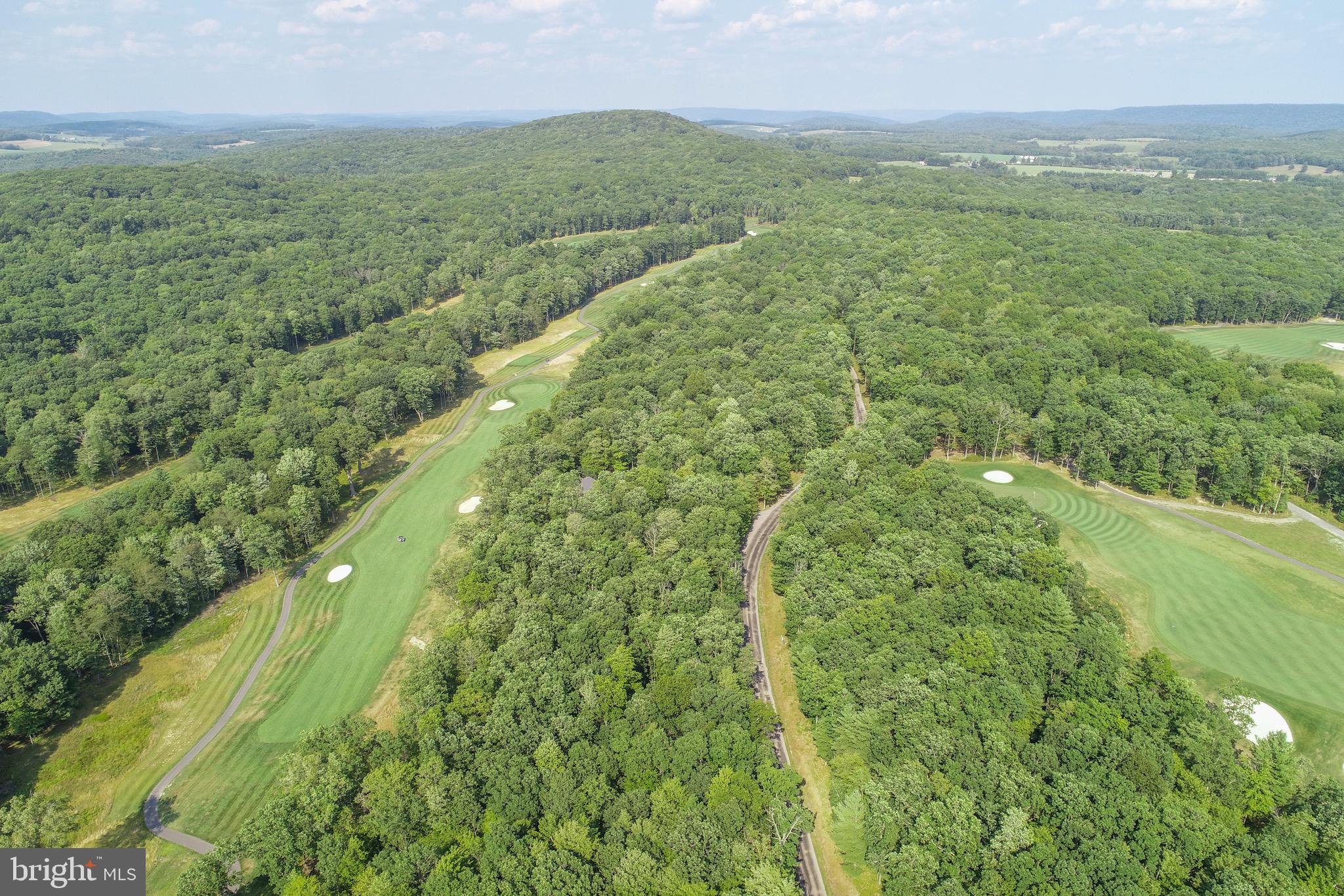 1 Thousand Acres Road Swanton, MD 21561 - Photo 6 of 14 Gallery Image 6