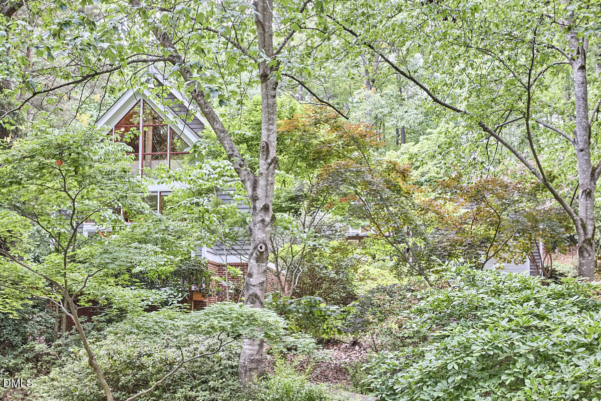 124 Steeplechase Road Chapel Hill, NC 27514 - Photo 64 of 66