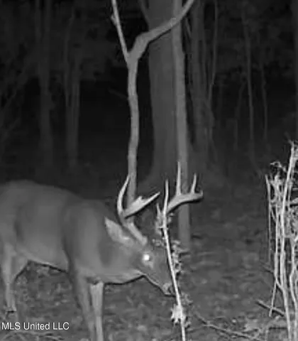 $59,500 | 5 Robinson Road, Canton, MS 39046