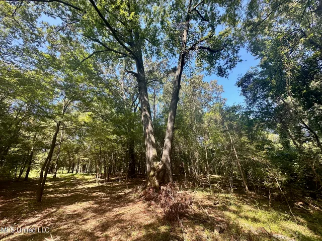 $59,500 | 5 Robinson Road, Canton, MS 39046