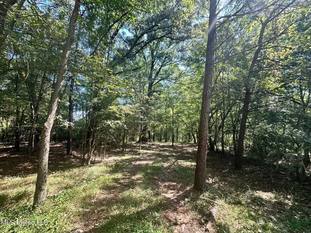 $59,500 | 5 Robinson Road, Canton, MS 39046