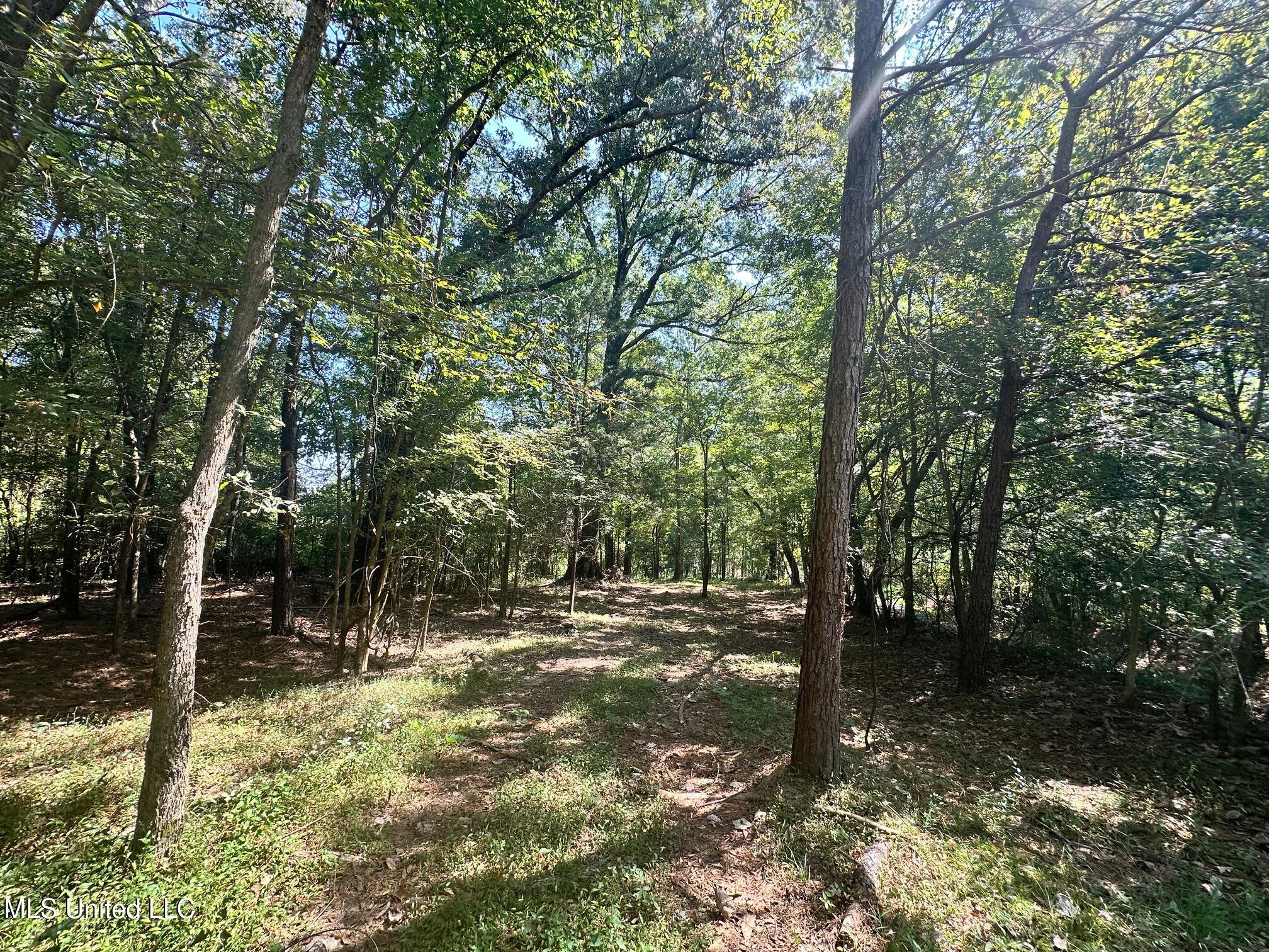 5 Robinson Road Canton, MS 39046 - Photo 6 of 11 IMG_2837