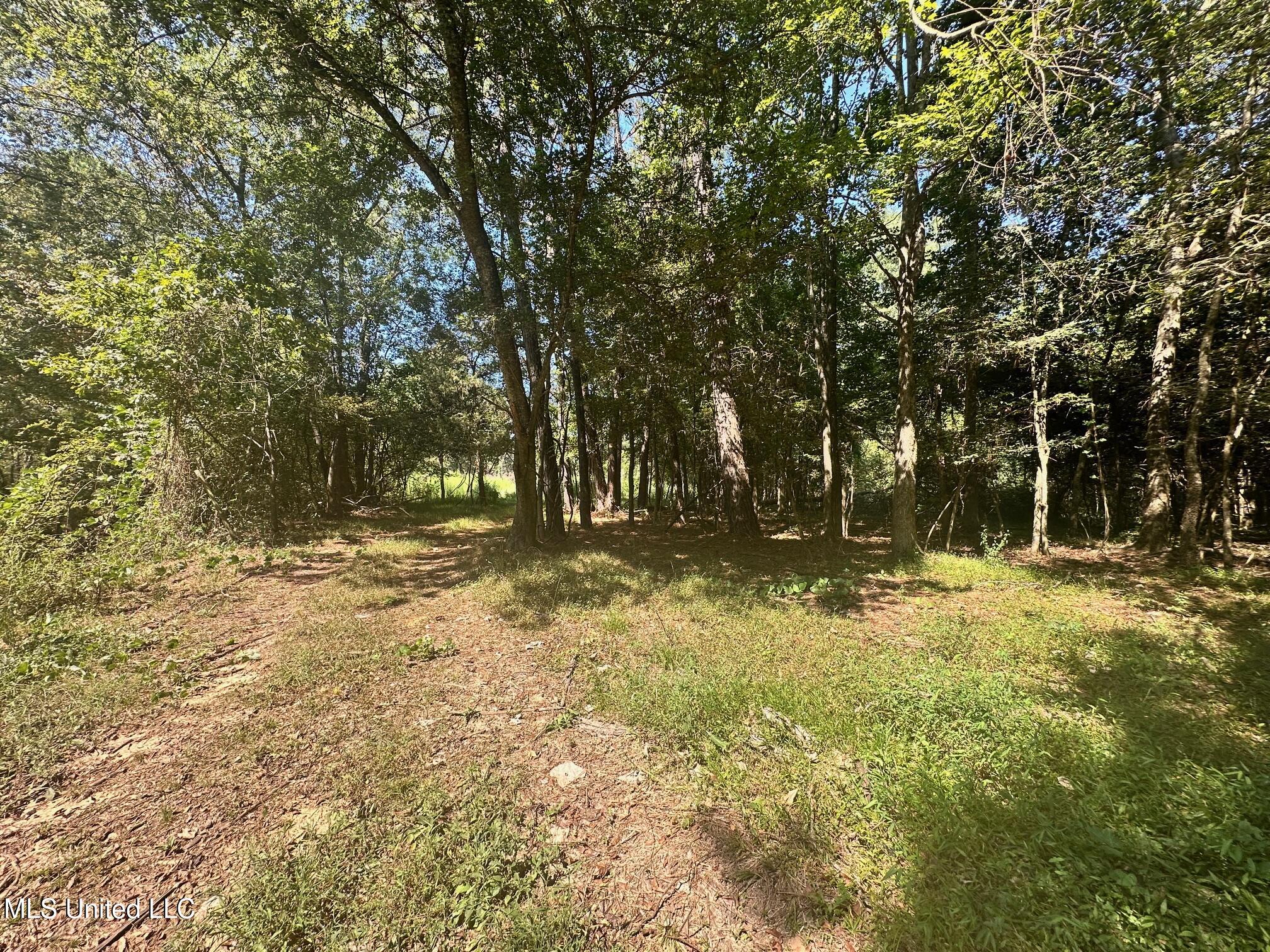 5 Robinson Road Canton, MS 39046 - Photo 7 of 11 IMG_2838