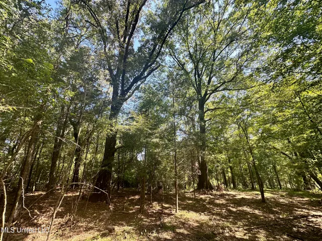 $59,500 | 5 Robinson Road, Canton, MS 39046