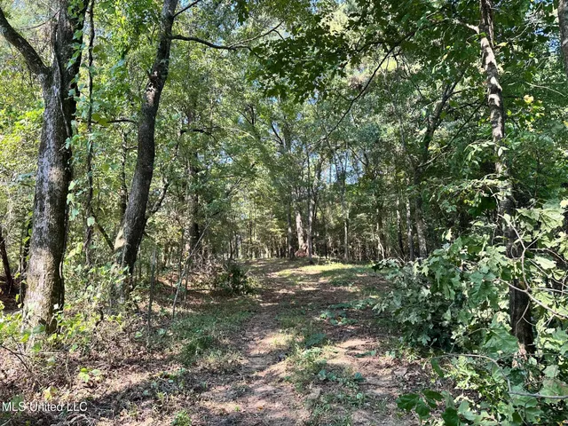 $59,500 | 5 Robinson Road, Canton, MS 39046