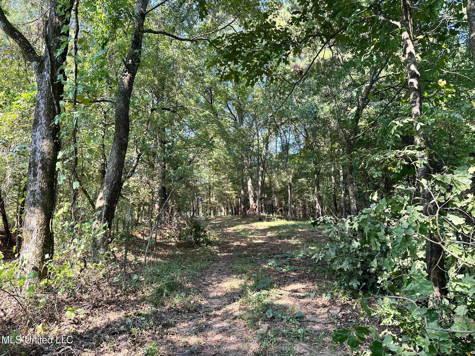 5 Robinson Road Canton, MS 39046 - Photo 10 of 11 IMG_2907