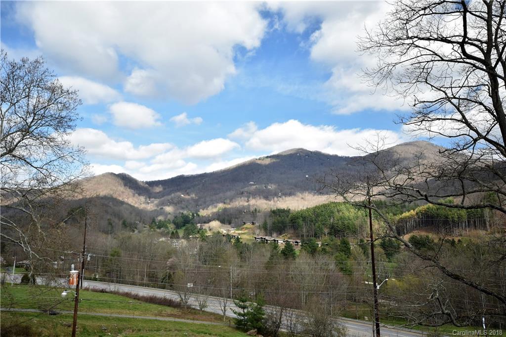 186 Raven Ridge Maggie Valley, NC 28751 - Photo 12 of 36