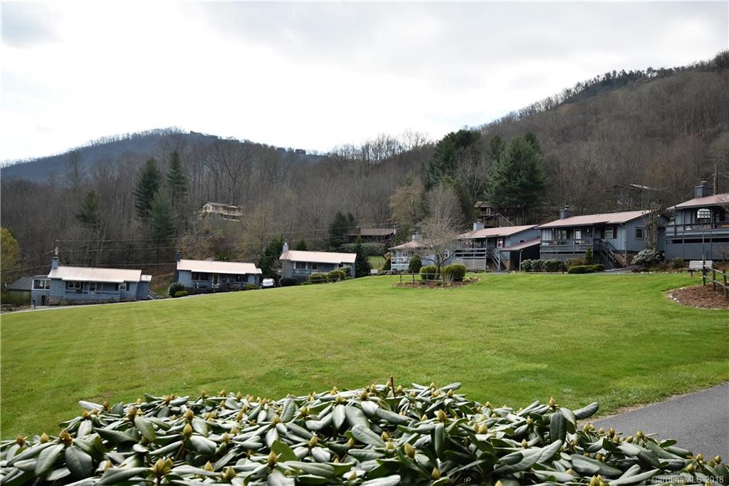 186 Raven Ridge Maggie Valley, NC 28751 - Photo 3 of 36