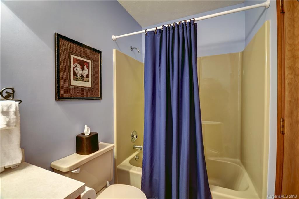 186 Raven Ridge Maggie Valley, NC 28751 - Photo 29 of 36