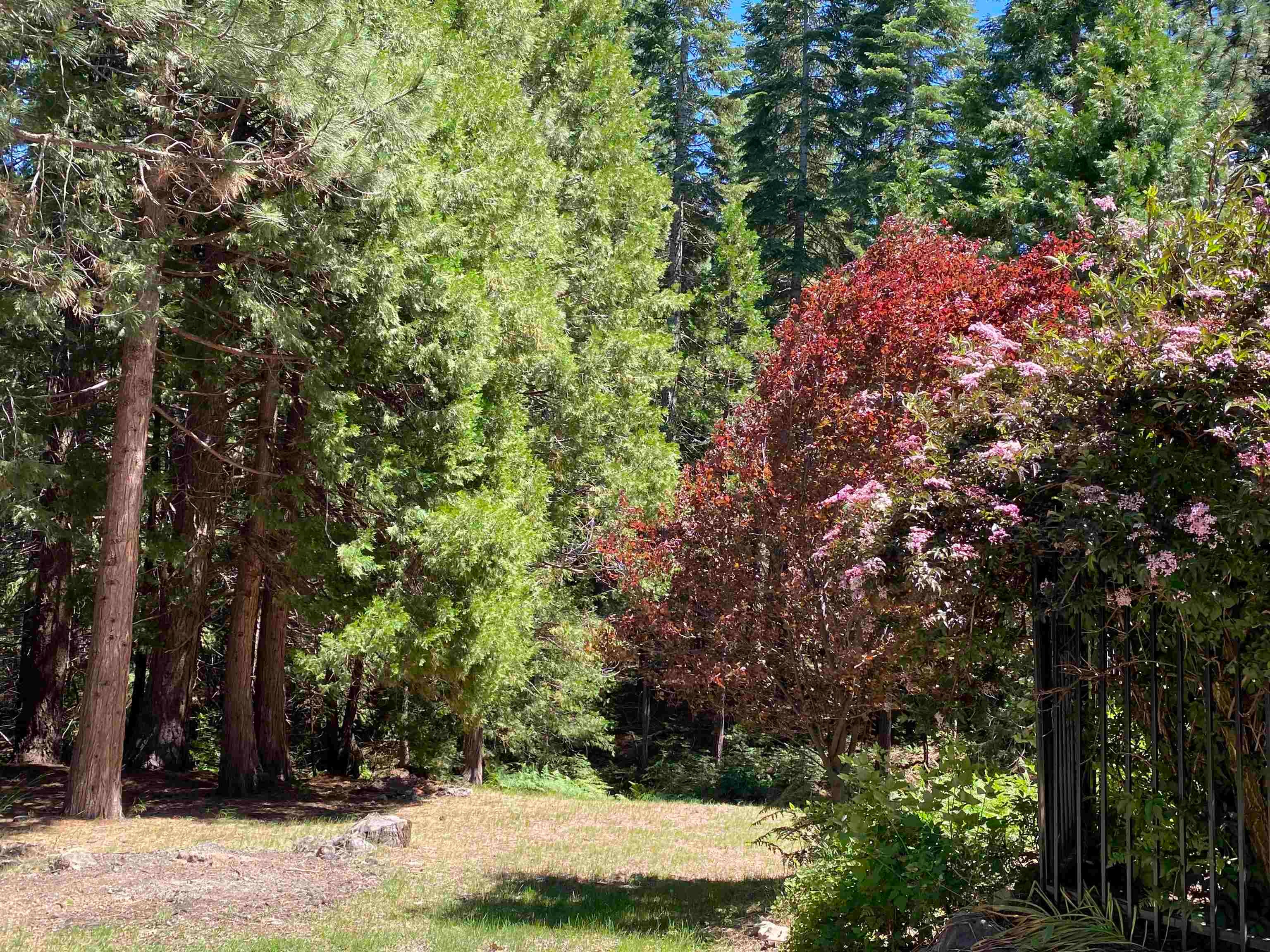 1934 Deetz Road Mount Shasta, CA 96067 - Photo 15 of 17 Gallery Image 15