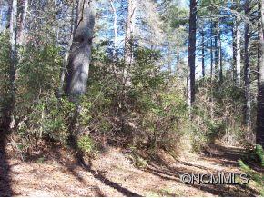 1091 Reasonover Road Cedar Mountain, NC 28718 - Photo 2 of 2 Gallery Image 2