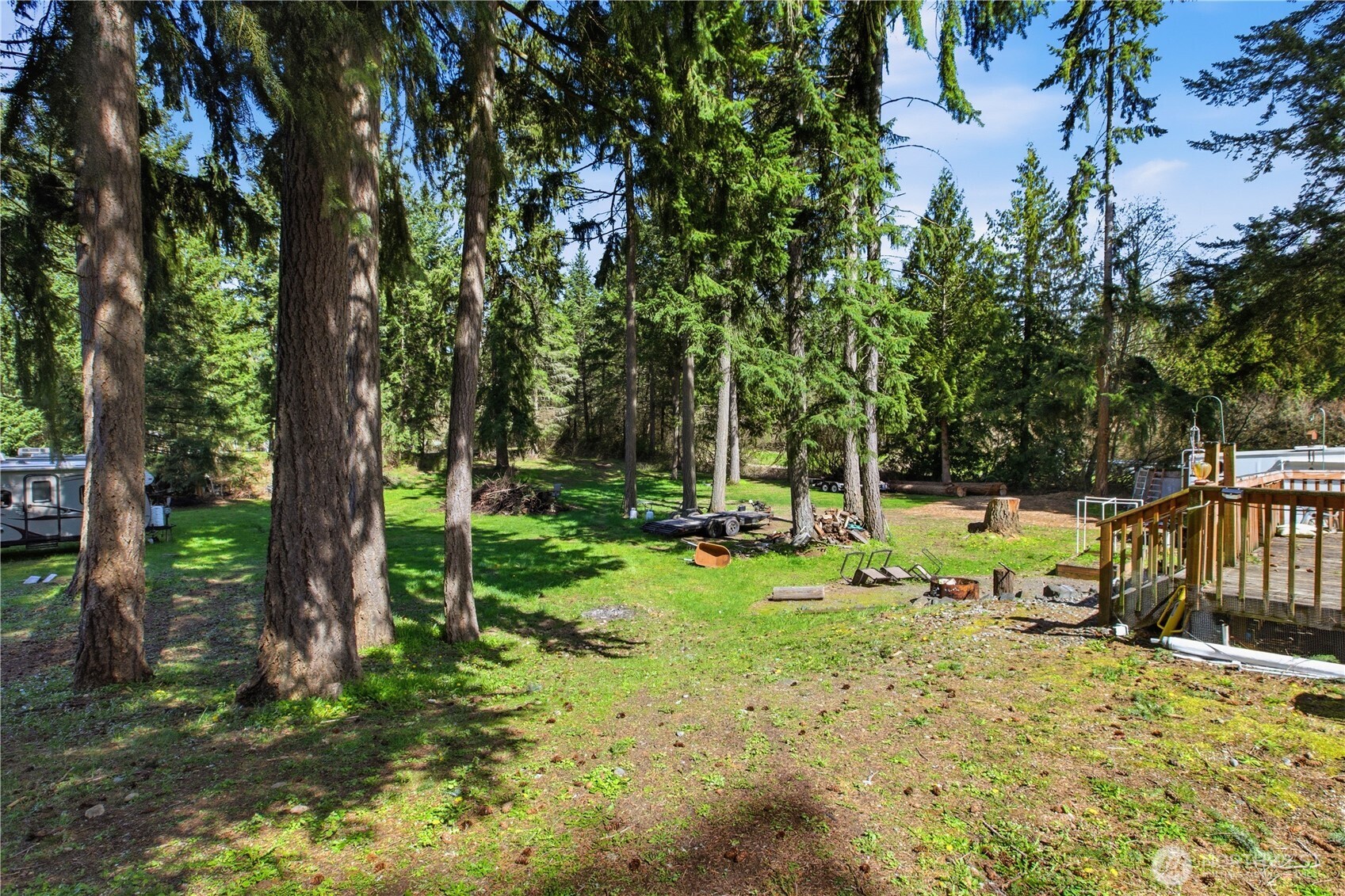 1507 286th Street East Roy, WA 98580 - Photo 19 of 22 a view of backyard with tree