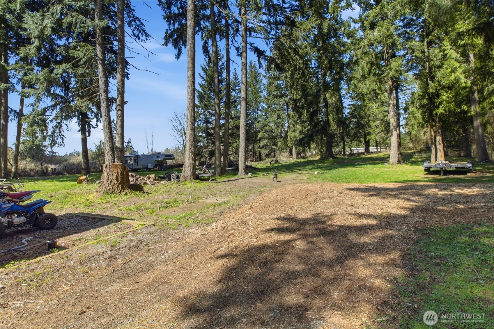 1507 286th Street East Roy, WA 98580 - Photo 22 of 22 a view of a park with large trees