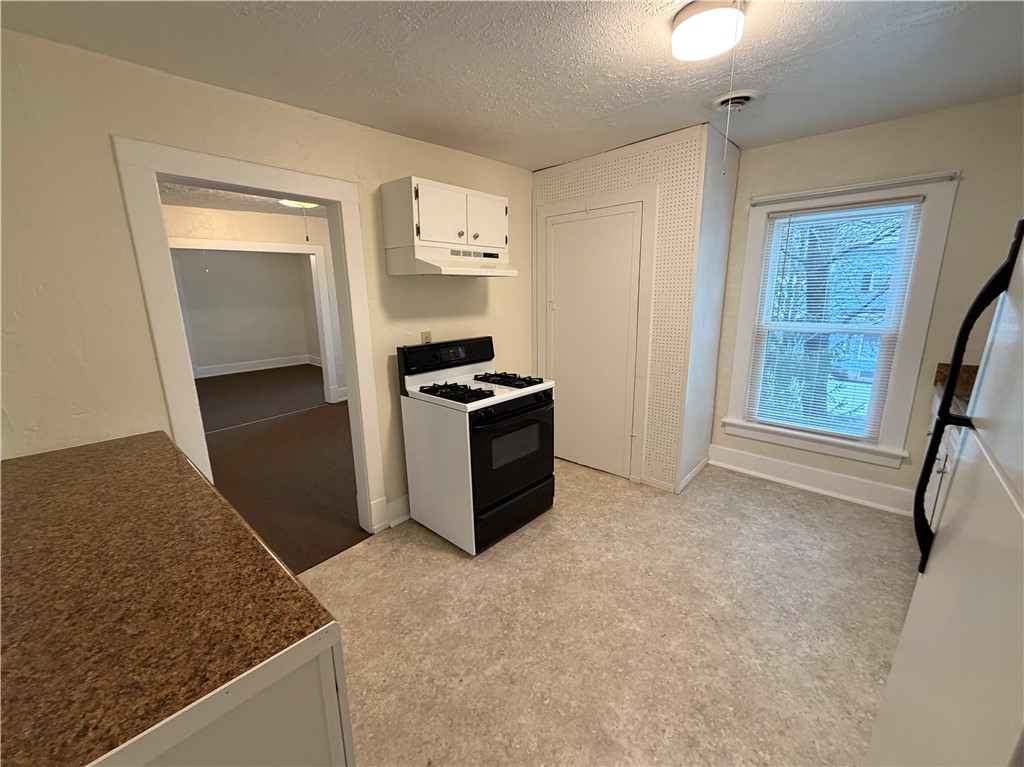 119 River Street, Unit 3 Oneonta, NY 13820 - Photo 6 of 19