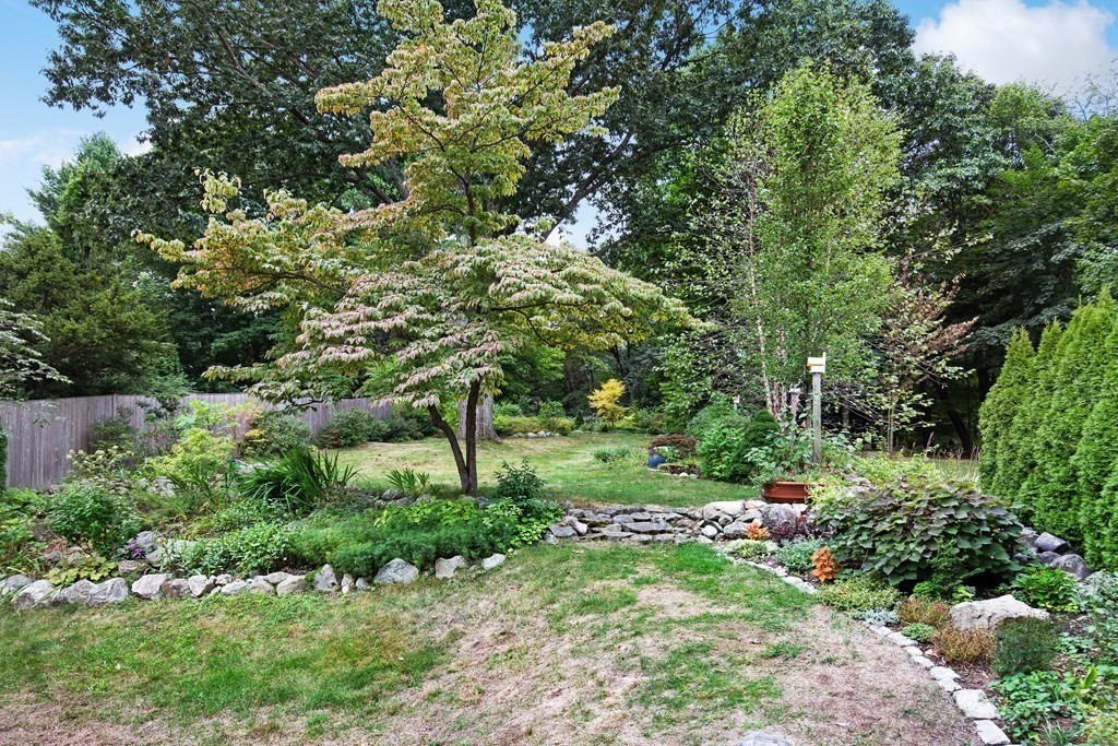 496 Marrett Road Lexington, MA 02421 - Photo 20 of 25 a view of a garden with a tree