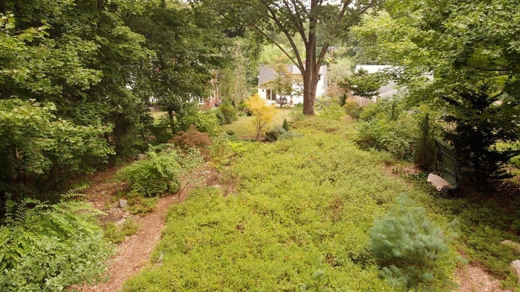 496 Marrett Road Lexington, MA 02421 - Photo 21 of 25 a view of a yard with large trees