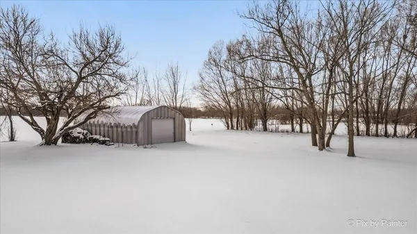 a street view covered with snow and trees