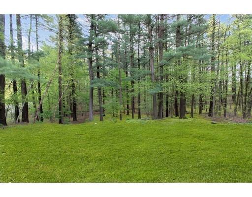 47 Draper Road Wayland, MA 01778 - Photo 25 of 26 a view of a green field with trees in the background