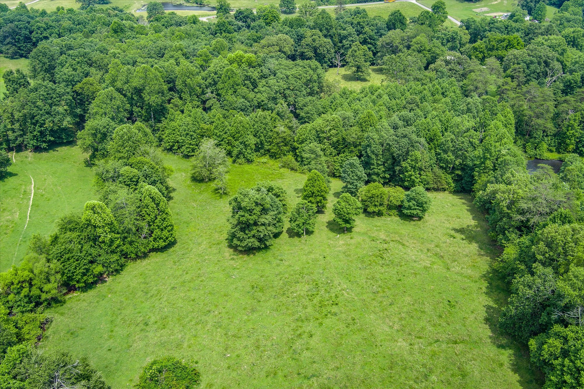 217 West Creston Road Crossville, TN 38571 - Photo 12 of 18 Gallery Image 12