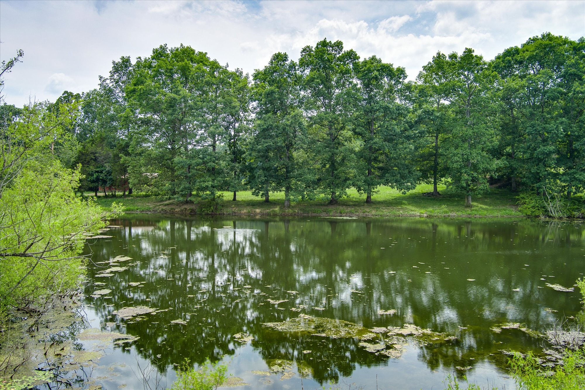 217 West Creston Road Crossville, TN 38571 - Photo 3 of 18 Gallery Image 3