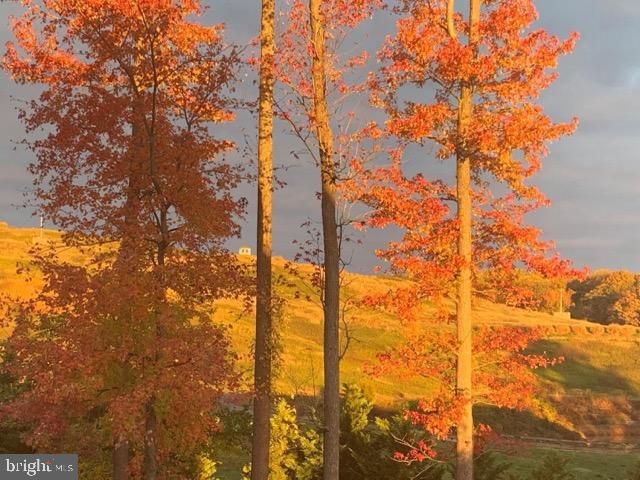 $965,000 | 6159 Olivet Drive, Alexandria, VA 22315