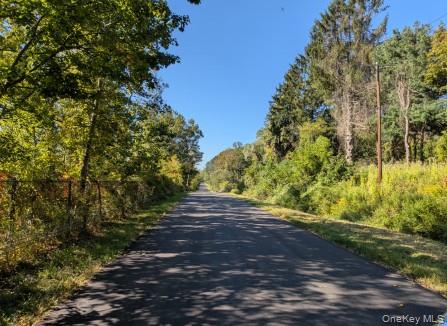 321 Guinea Road Brewster, NY 10509 - Photo 2 of 3 View of asphalt street featuring a wooded view