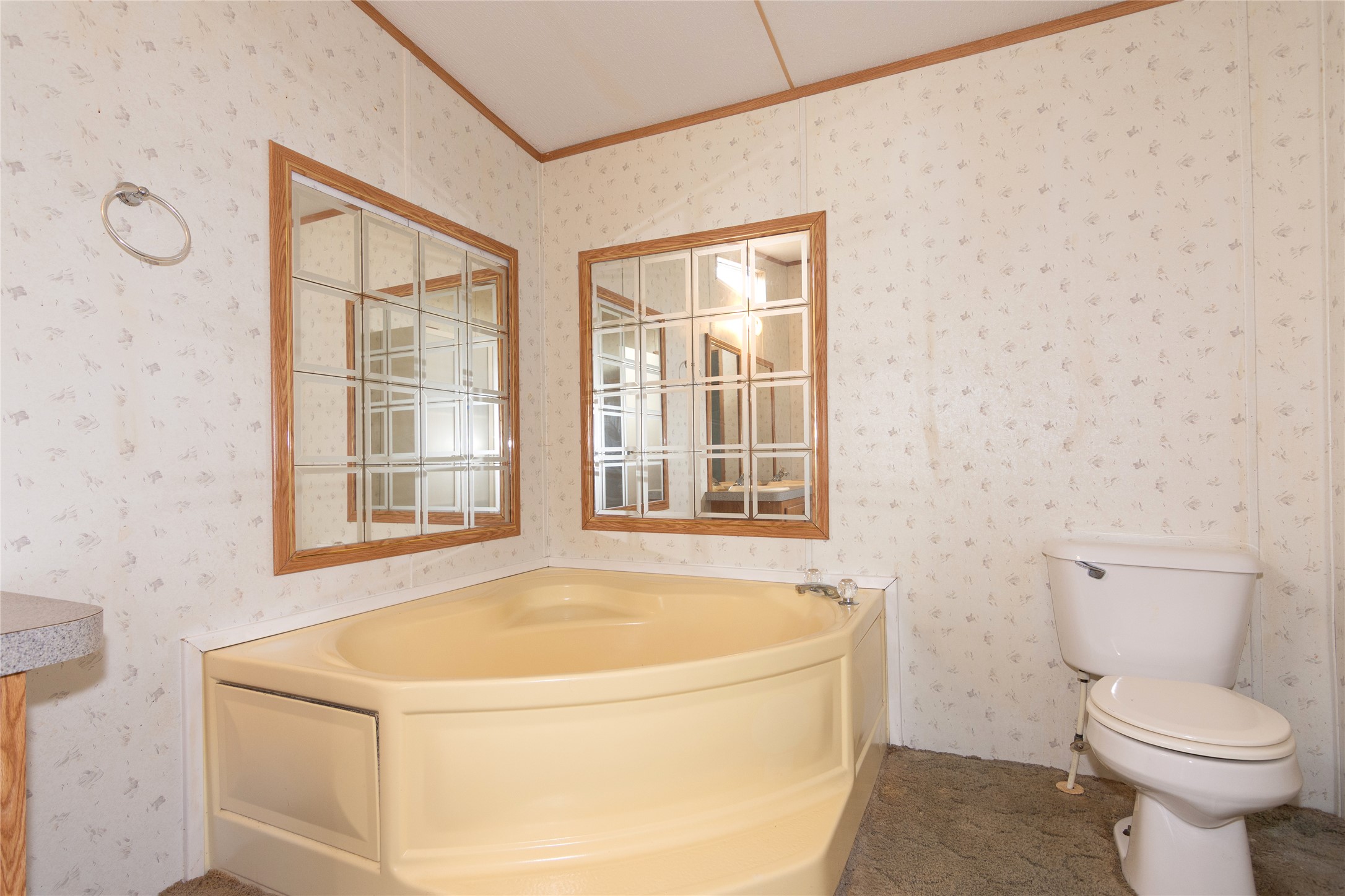 1 11209-tract Road Del Valle, TX 78617 - Photo 16 of 39 Full bath with ornamental molding, a garden tub