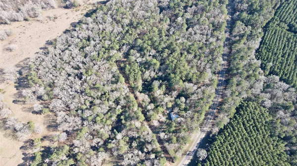 $90,000 | 0 Fm 2798, Livingston, TX 77351