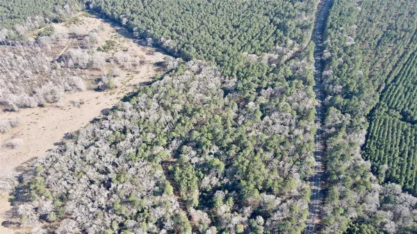 $90,000 | 0 Fm 2798, Livingston, TX 77351