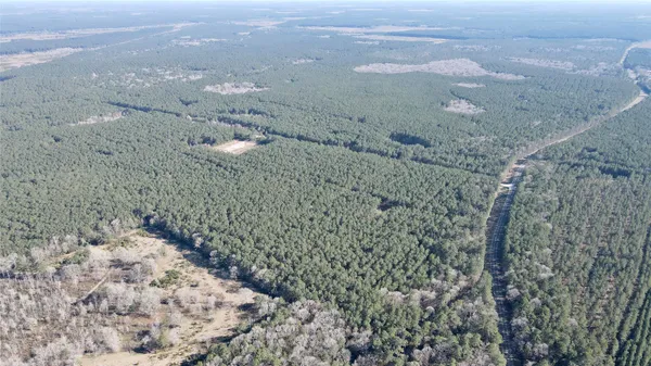 $90,000 | 0 Fm 2798, Livingston, TX 77351