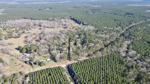 $90,000 | 0 Fm 2798, Livingston, TX 77351