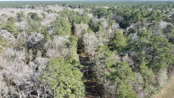 $90,000 | 0 Fm 2798, Livingston, TX 77351